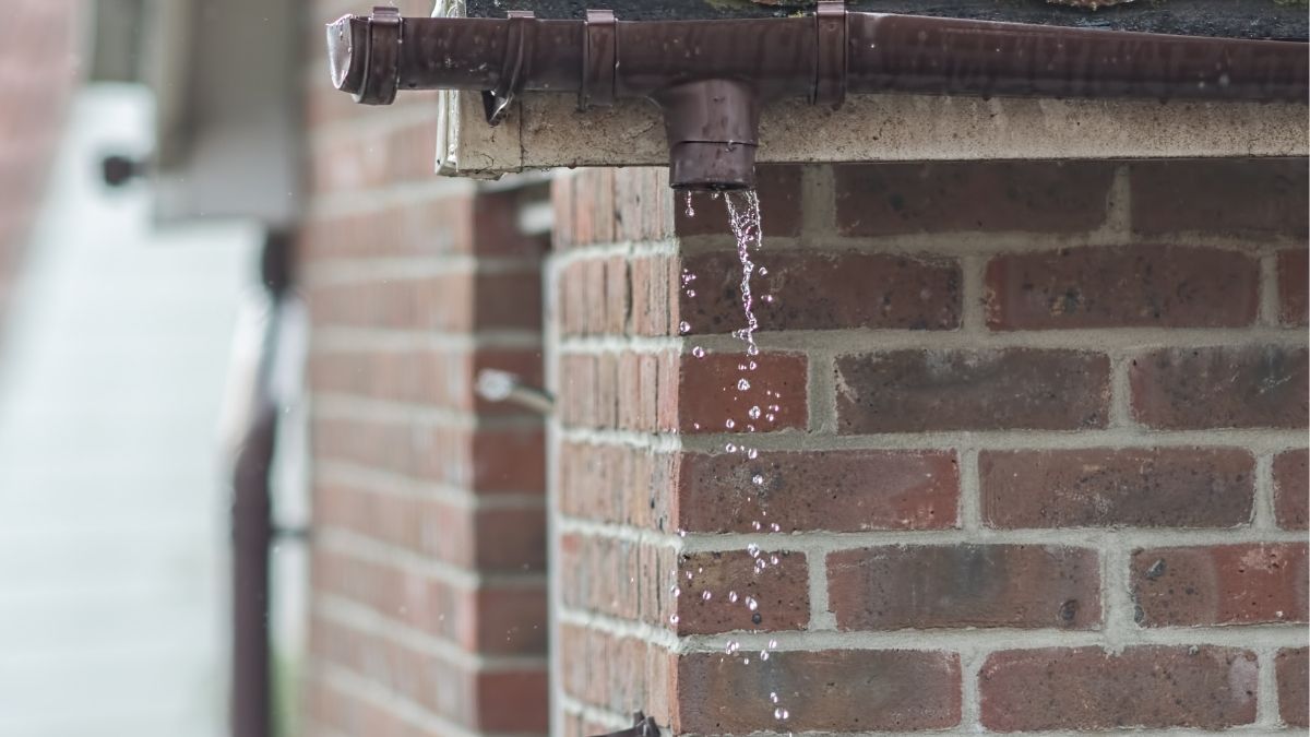 Collect rainwater from a downspout – how to do it