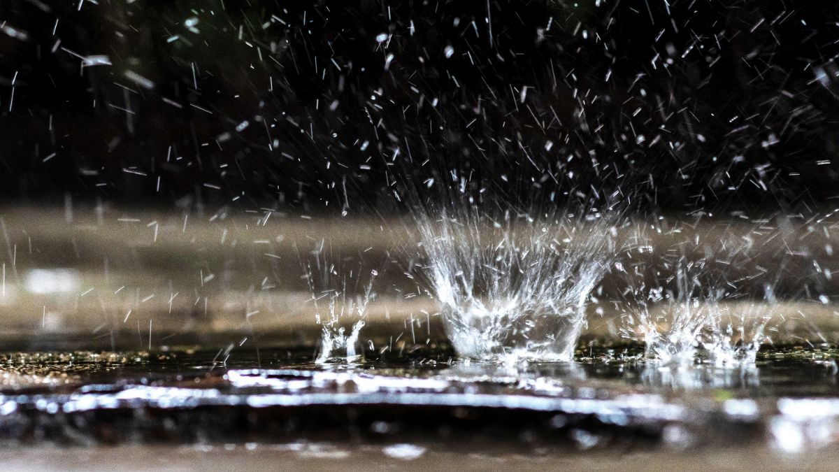 How to collect rainwater